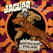 Jaguar Y Las Sabanas Estacion Polar